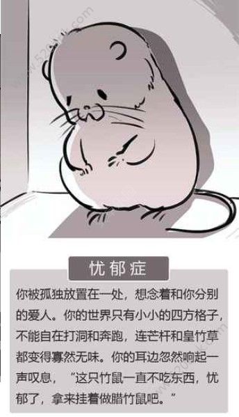 竹鼠活下去无限提示钻石中文最新版  v1.0图2