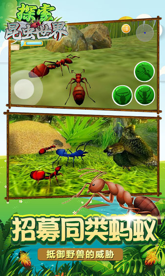 昆虫世界生存指南3dm中文版手机游戏  v1.0图1