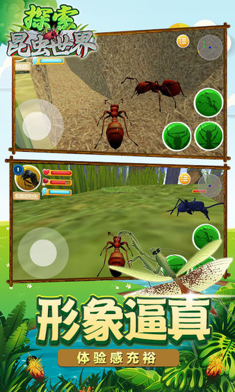 昆虫世界生存指南3dm中文版手机游戏  v1.0图3