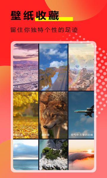 熊猫壁纸大全高清app免费下载  v3.0.8图1